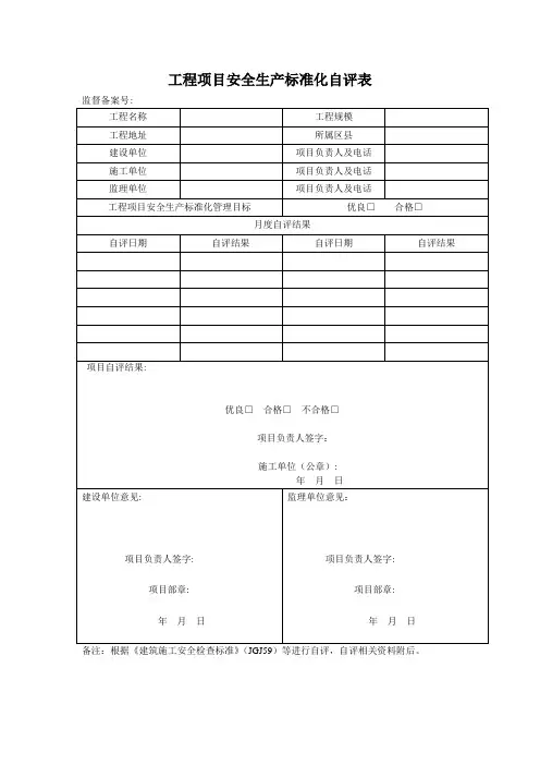 工程项目安全生产标准化自评表