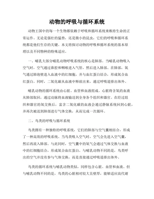 动物的呼吸与循环系统