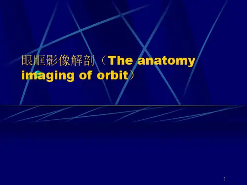 眼眶影像解剖幻灯片课件