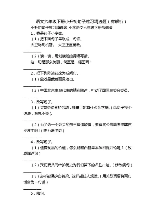 语文六年级下册小升初句子练习精选题(有解析)