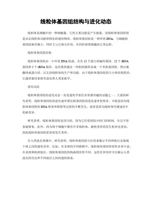 线粒体基因组结构与进化动态