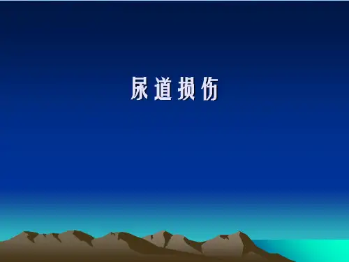 《尿道损伤》幻灯片PPT