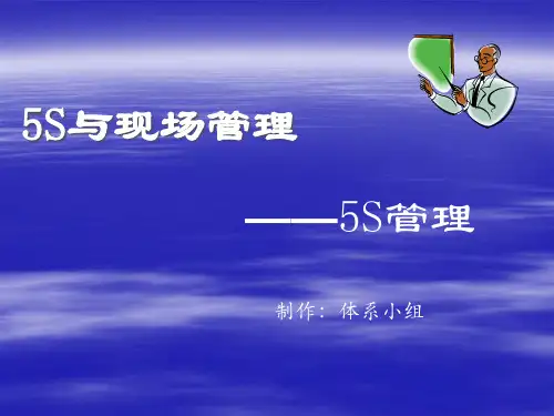精选5S管理培训教程dia