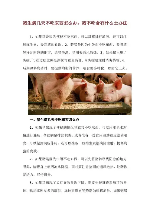 猪生病几天不吃东西怎么办,猪不吃食有什么土办法