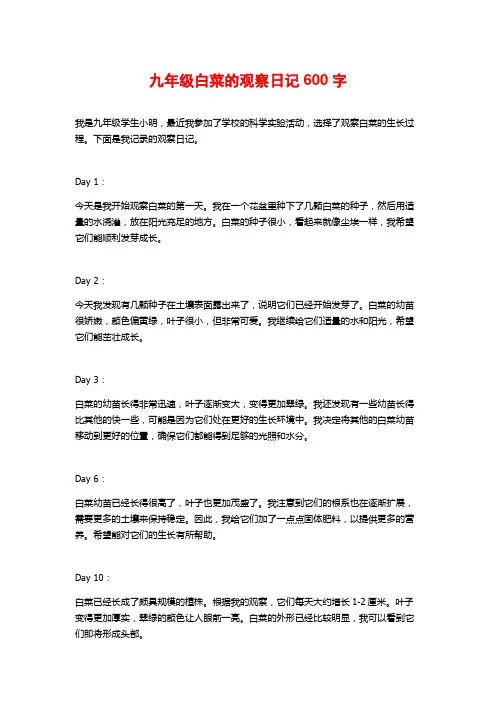 九年级白菜的观察日记600字
