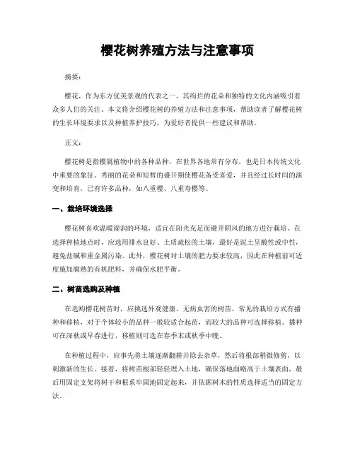 樱花树养殖方法与注意事项