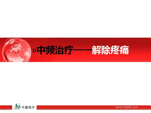 中频治疗仪 PPT课件