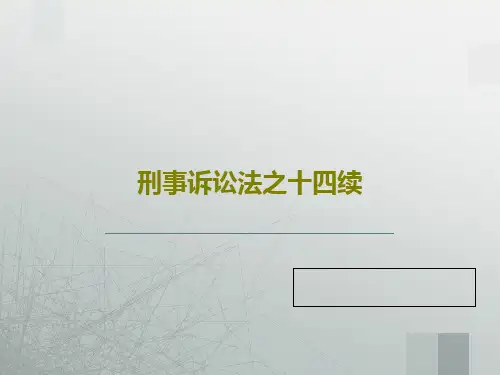 刑事诉讼法之十四续20页PPT