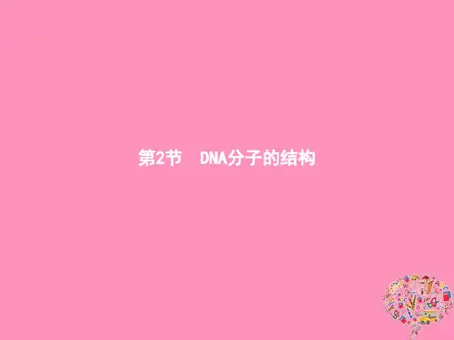 2019年秋高中生物必修2课件： 第3章 基因的本质 3.2 DNA分子的结构课件 新人教版必修2
