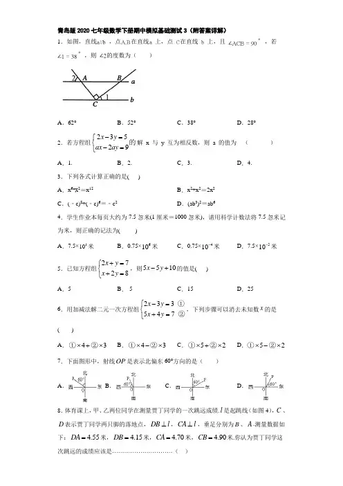 青岛版2020七年级数学下册期中模拟基础测试3(附答案详解)