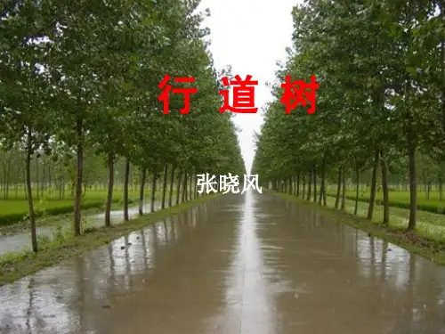 初一语文7《短文两篇》PPT课件