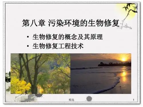 新版第八章-污染环境的生物修复课件.ppt