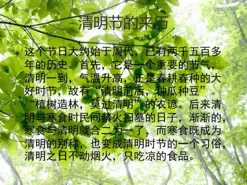 清明节主题班会ppt课件