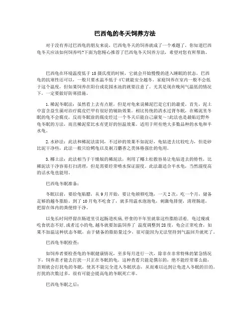 巴西龟的冬天饲养方法
