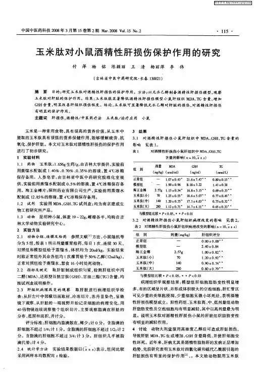 玉米肽对小鼠酒精性肝损伤保护作用的研究