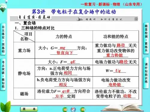 第八章第3讲带电粒子在复合场中的运动