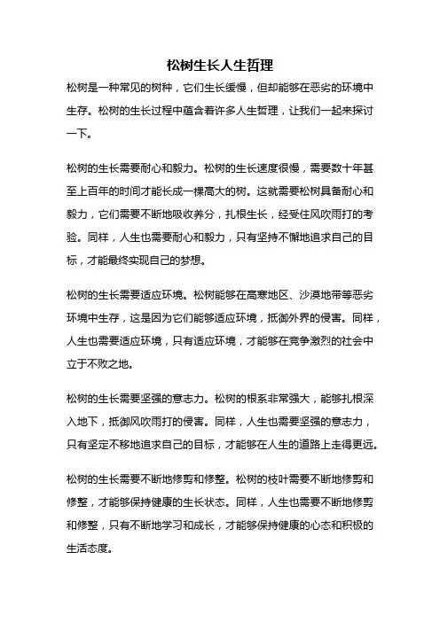 松树生长人生哲理