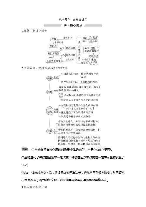 二轮复习微专题3生物的进化学案(广东专用)