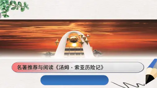 人教版小学语文六年级下册17《汤姆·索亚历险记》ppt课件1
