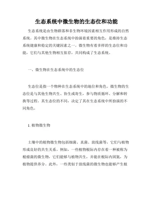 生态系统中微生物的生态位和功能
