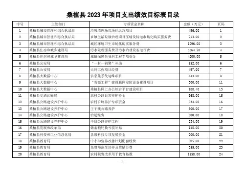 桑植县 2023 年项目支出绩效目标表目录