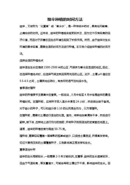 细辛种植的时间方法