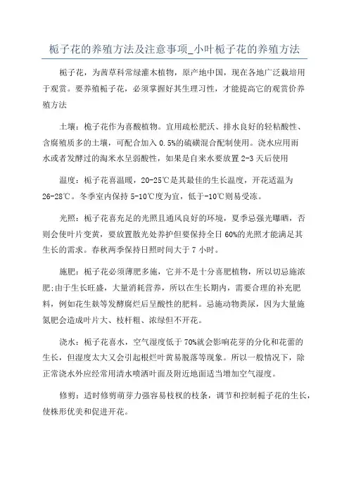 栀子花的养殖方法及注意事项_小叶栀子花的养殖方法