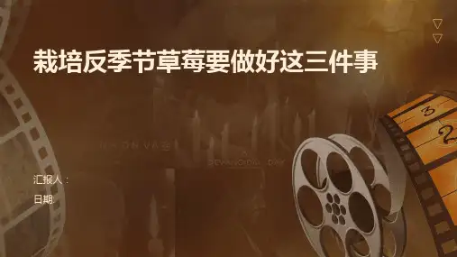栽培反季节草莓要做好这三件事