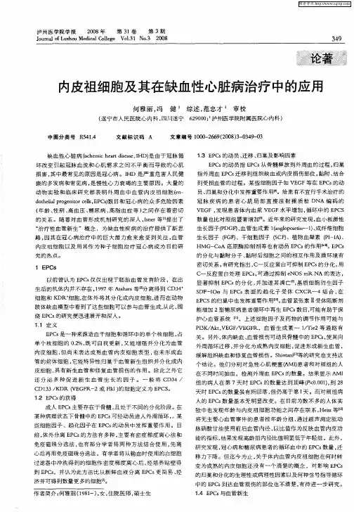 内皮祖细胞及其在缺血性心脏病治疗中的应用