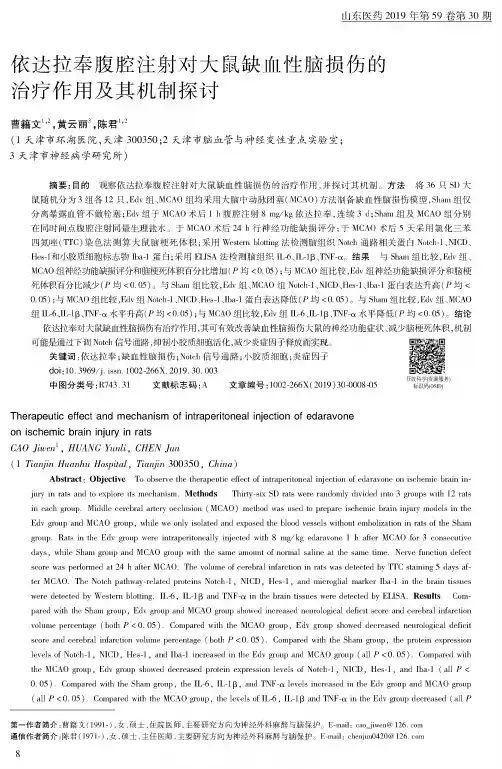 依达拉奉腹腔注射对大鼠缺血性脑损伤的治疗作用及其机制探讨
