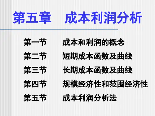 管理经济学 成本利润分析