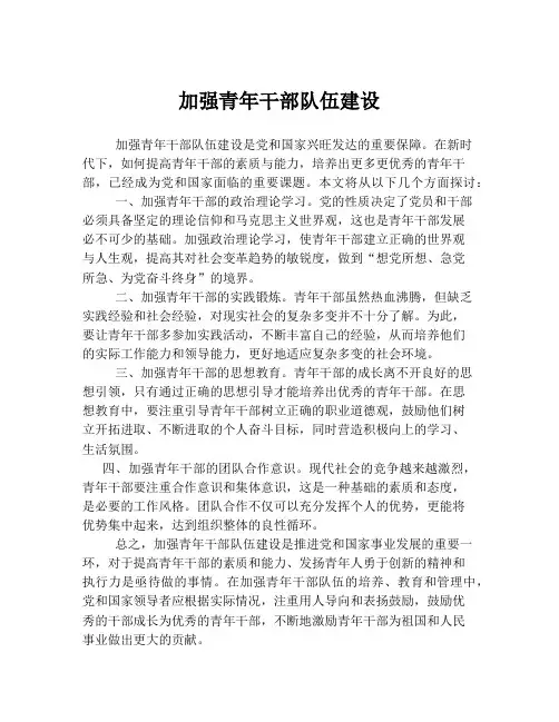 加强青年干部队伍建设