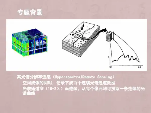 专题高光谱数据的处理与分析