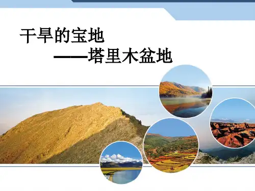 人教版八年级地理下册8.2干旱的宝地塔里木盆地(共17张PPT)