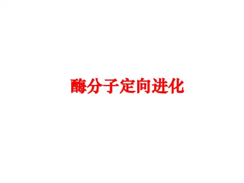 最新酶分子定向进化