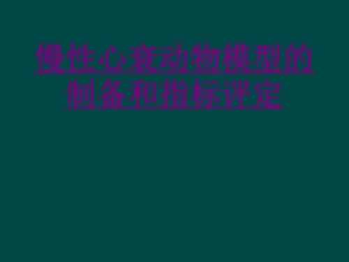 医学慢性心衰动物模型的制备和指标评定课件(0001)