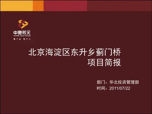 2011北京海淀区蓟门桥项目简报27p