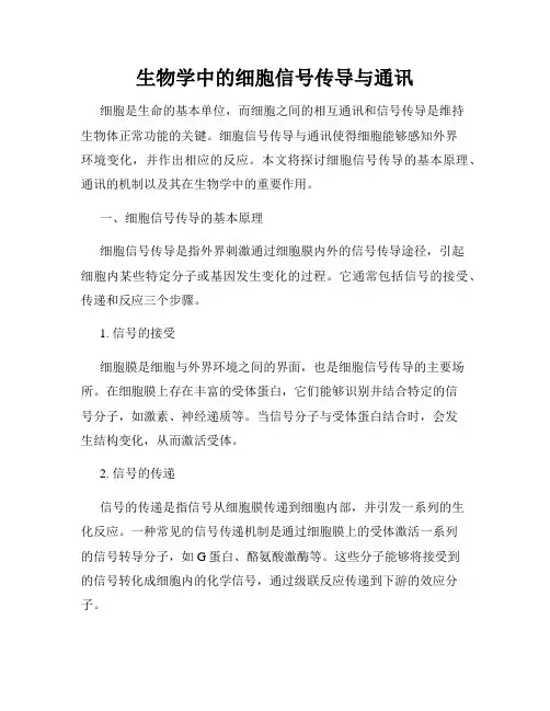 生物学中的细胞信号传导与通讯
