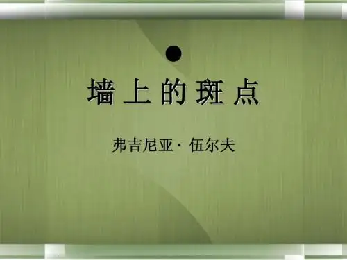 高中语文《墙上的斑点》课件4 新人教版选修