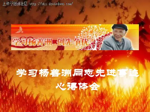 学习杨善洲同志先进事迹心得体会
