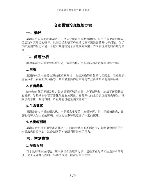 合肥巢湖治理规划方案-更新版