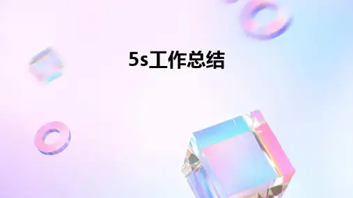 5s工作总结PPT