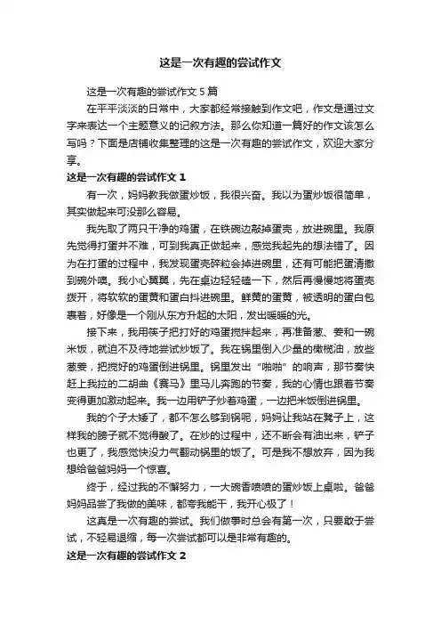 这是一次有趣的尝试作文