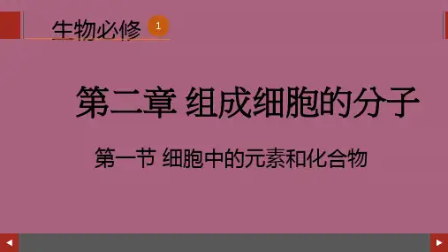 生物必修一第二章第一节细胞中的元素和化合物—人教版ppt课件