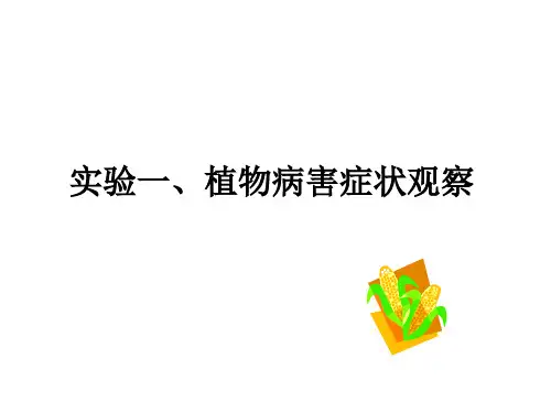 实验一   植物病害症状观察.ppt