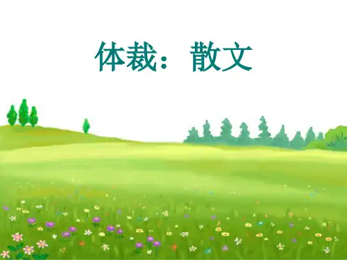 桃花心木人教版六下语文优秀课件完整版完美版