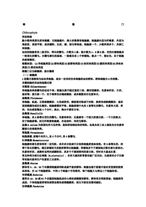 绿藻鉴定图谱