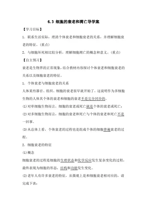 6.3 细胞的衰老和凋亡导学案2021-2022学年高一生物人教版必修一