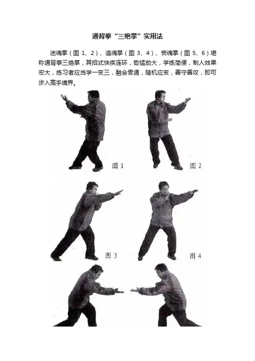 通背拳“三绝掌”实用法