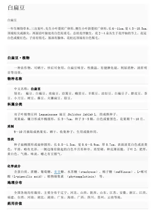 白扁豆1